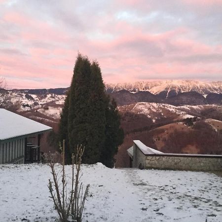 Drumul Carului Villa Moieciu de Jos Exteriör bild