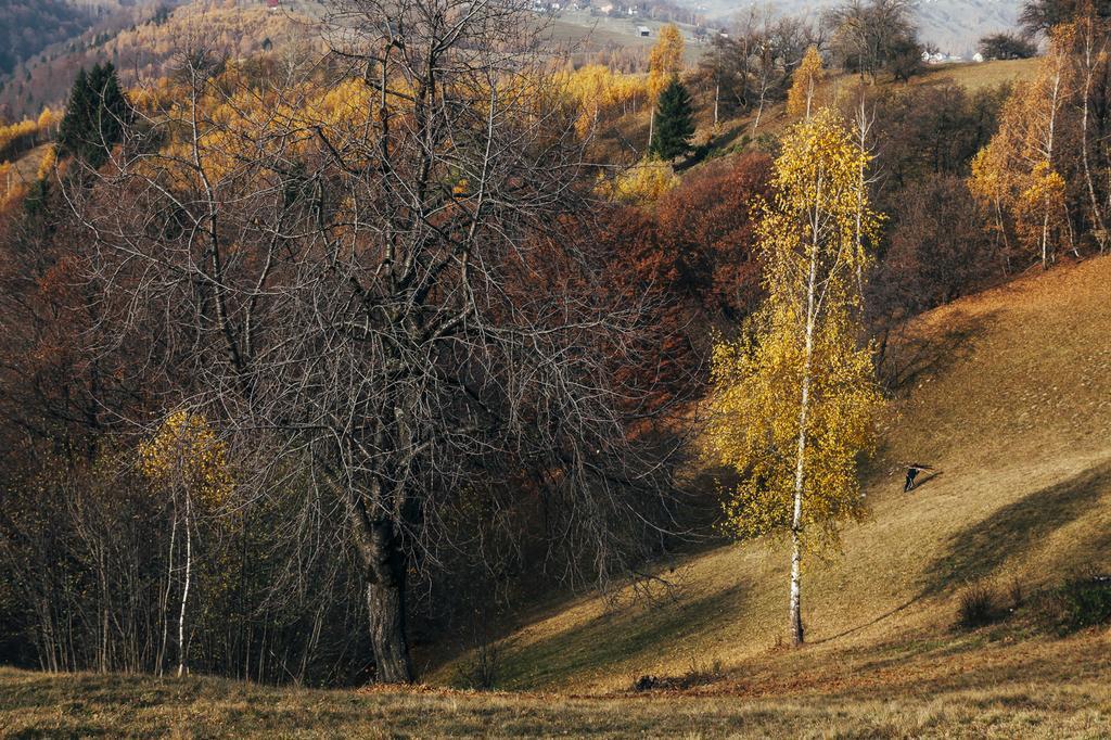 Drumul Carului Villa Moieciu de Jos Exteriör bild