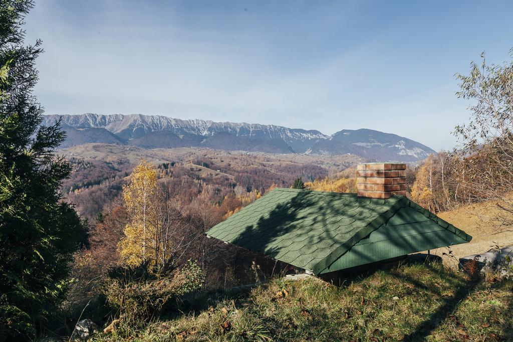 Drumul Carului Villa Moieciu de Jos Rum bild