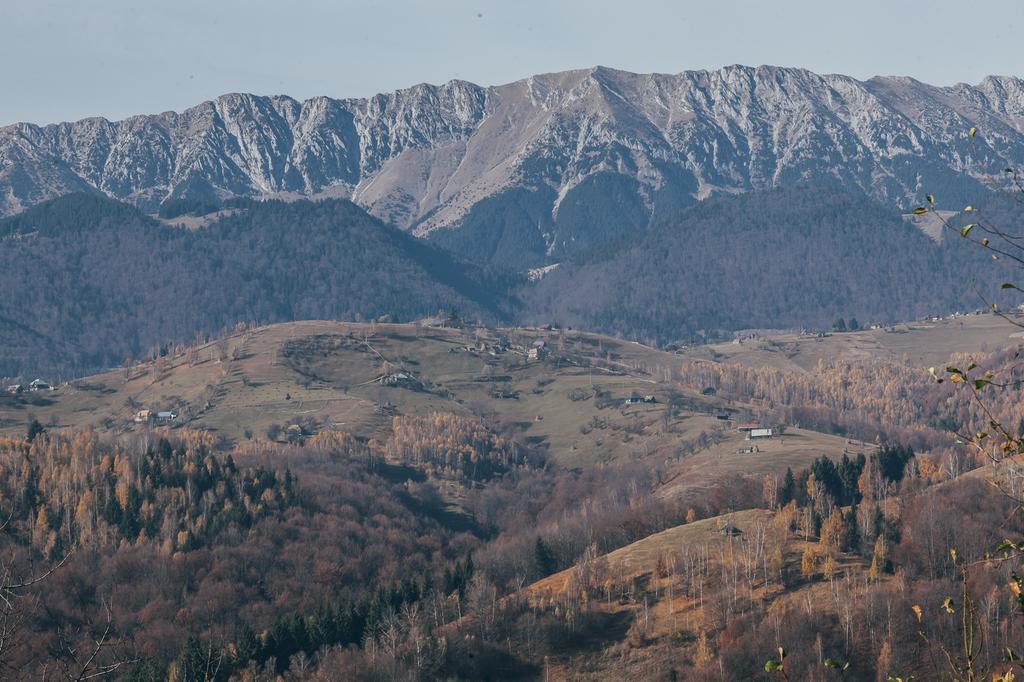Drumul Carului Villa Moieciu de Jos Rum bild