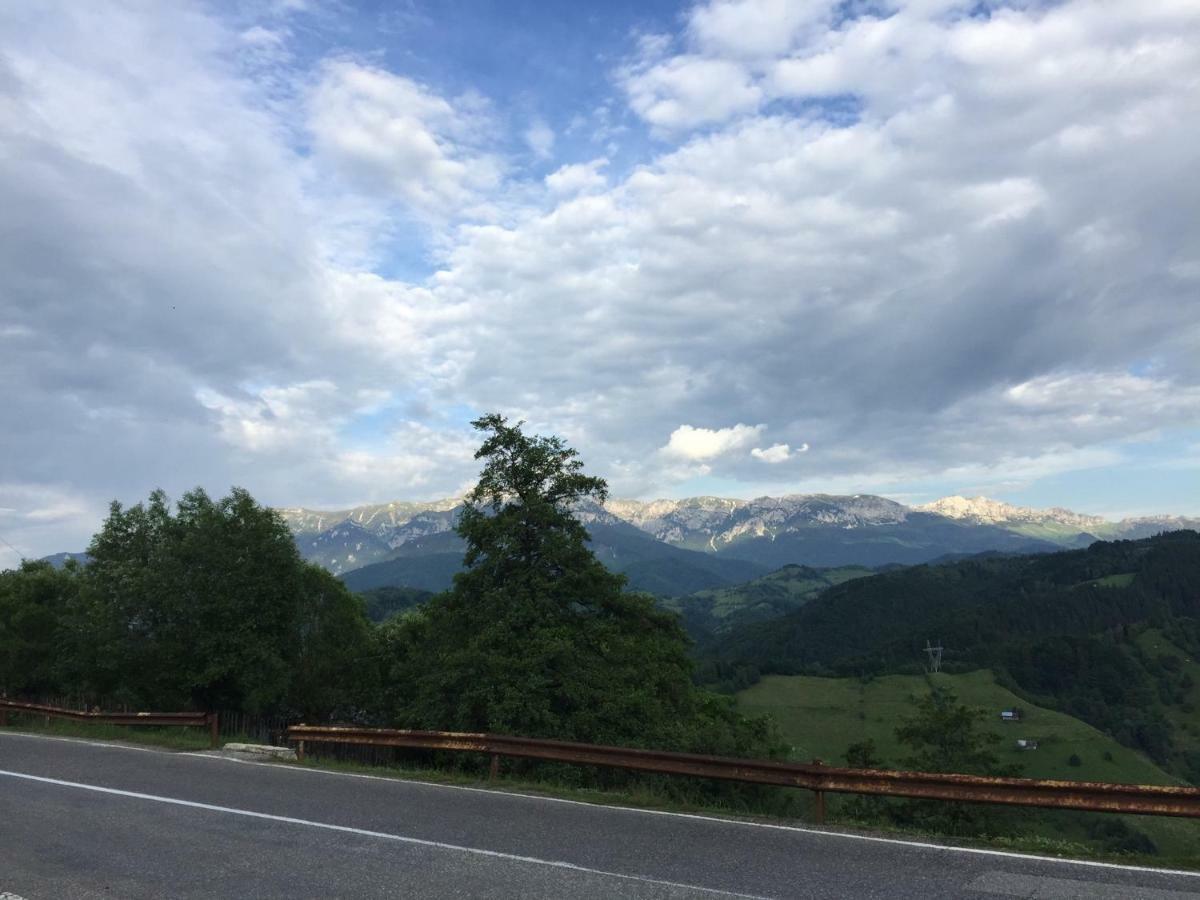 Drumul Carului Villa Moieciu de Jos Exteriör bild