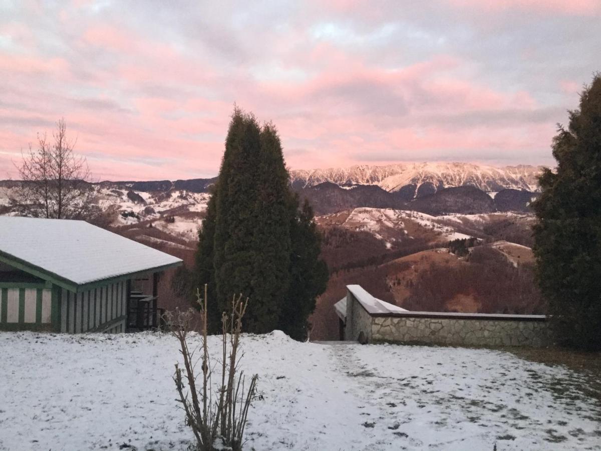 Drumul Carului Villa Moieciu de Jos Exteriör bild
