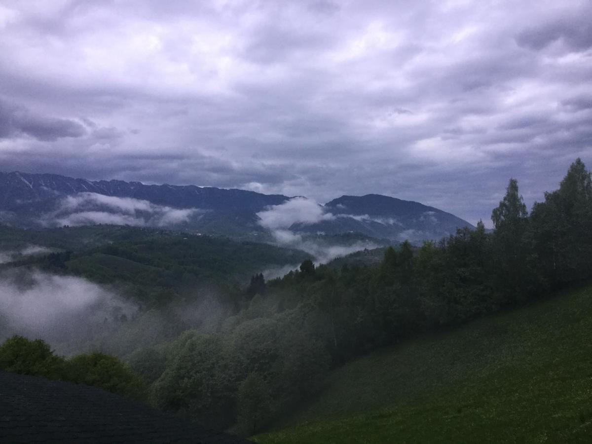 Drumul Carului Villa Moieciu de Jos Exteriör bild